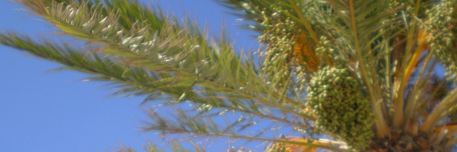remkoschnitger's profile banner image