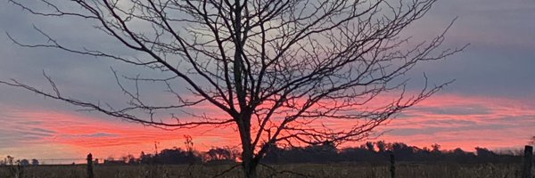 AwsCane Profile Banner