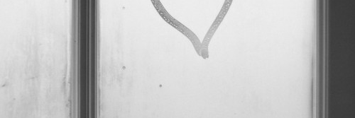 Lin_Baker's profile banner image