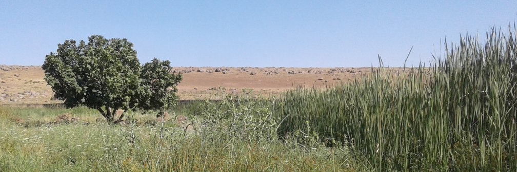 AboriRojava's profile banner image