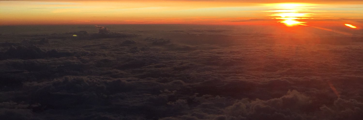 D7lupi's profile banner image