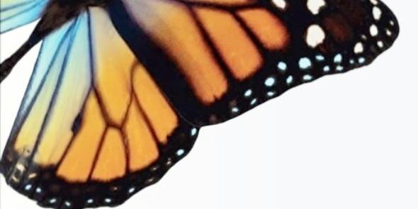 ffandajournal's profile banner image