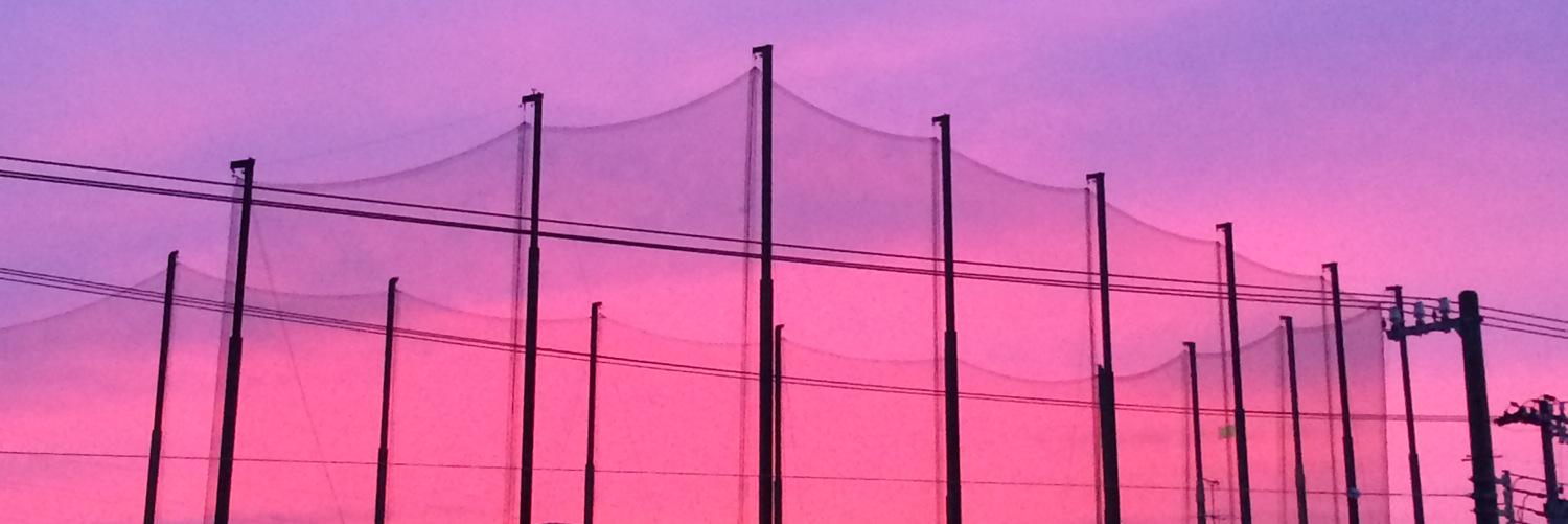 Flowering1982's profile banner image