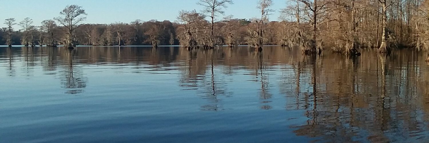 lishear1's profile banner image