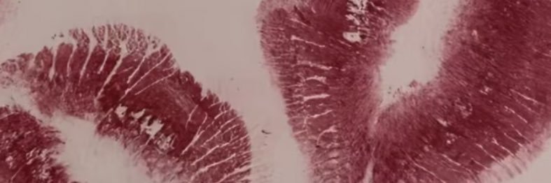 Klc_buket's profile banner image