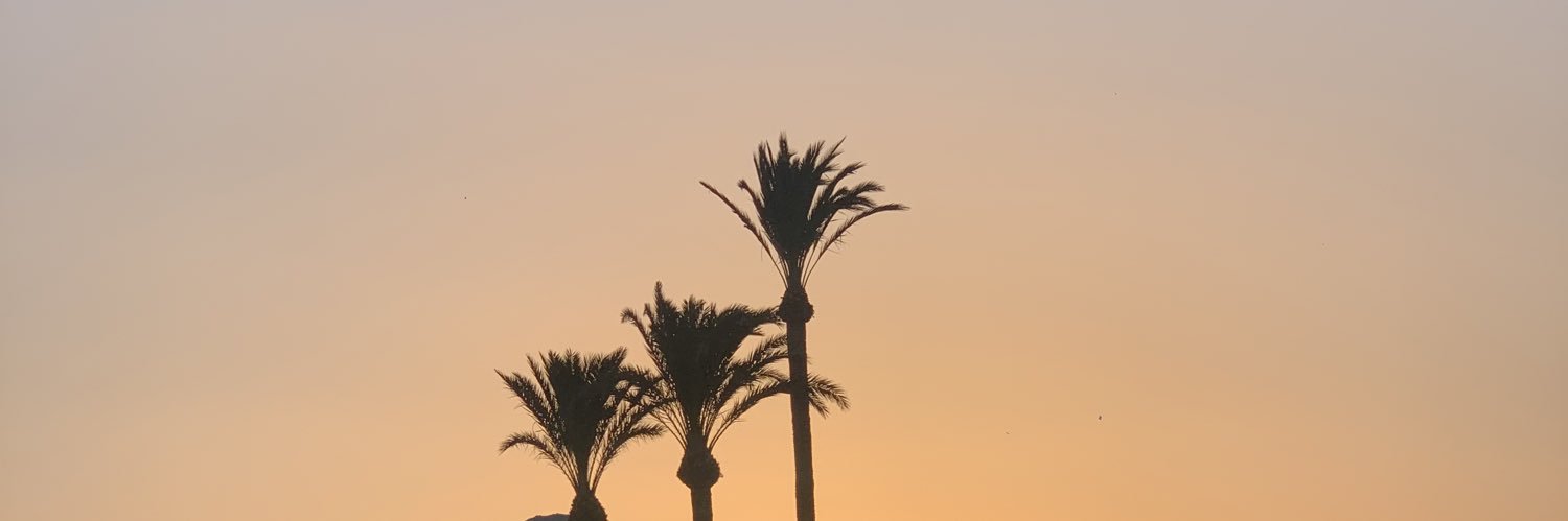 LorenaBonach's profile banner image