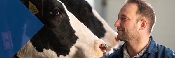 CRV4all Profile Banner