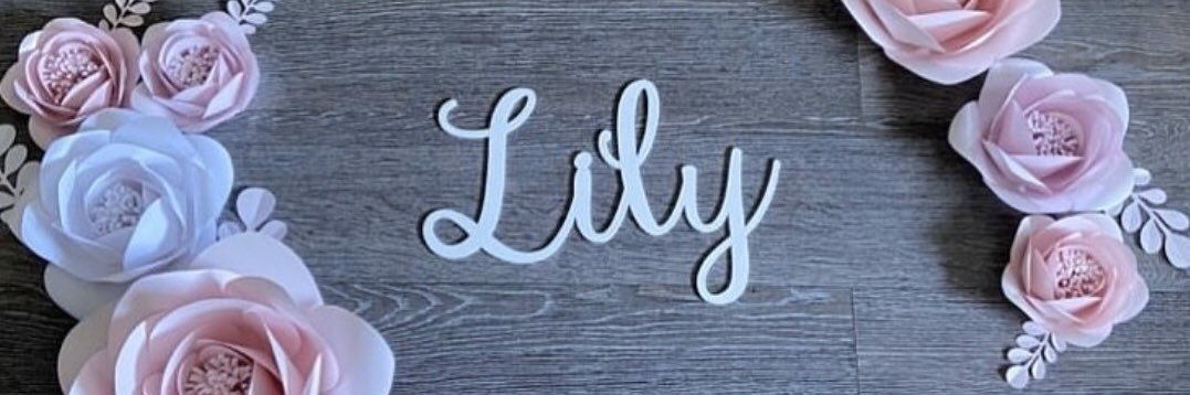 Lily Ryan banner