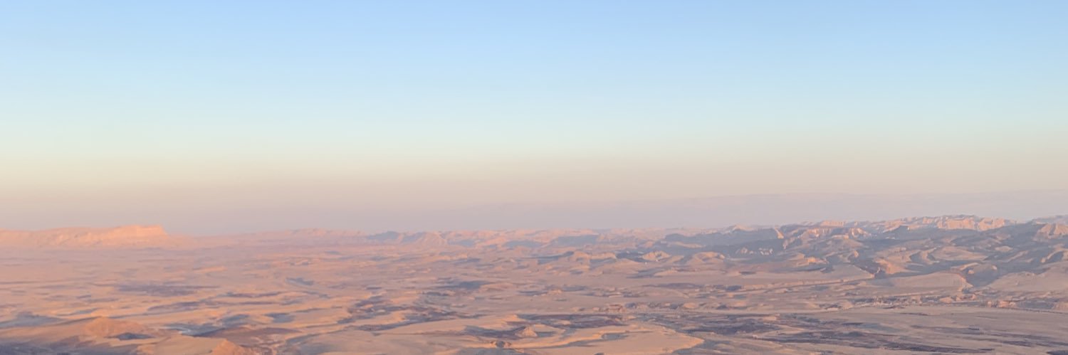 Michael Elhadad banner