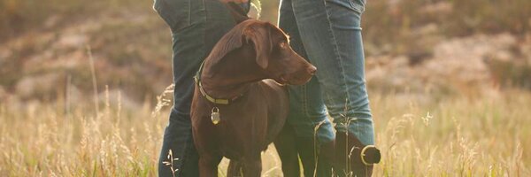 brebrass Profile Banner