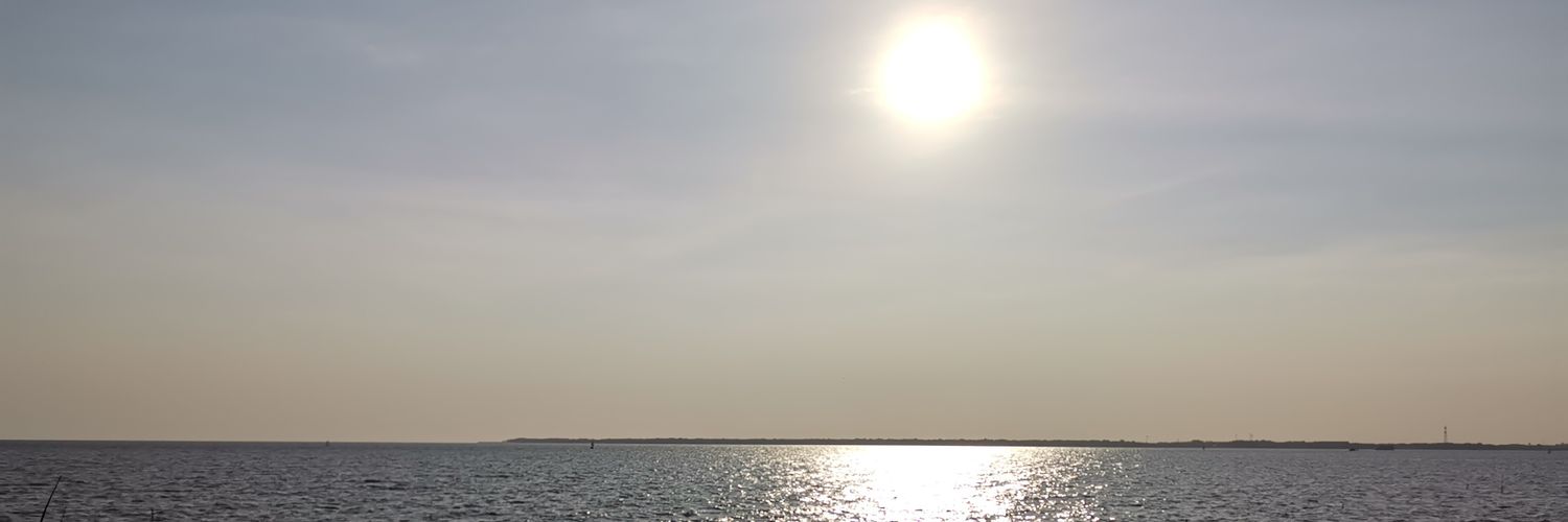 iambear9's profile banner image