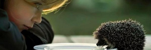 savaTkG Profile Banner