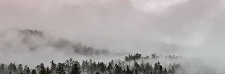 abalsulaiman_'s profile banner image
