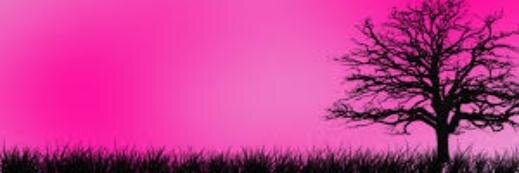 Cronicarosa's profile banner image