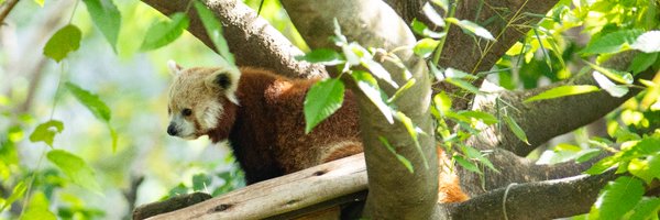 IndianapolisZoo Profile Banner