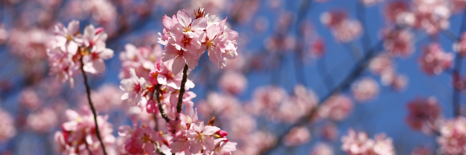 bbmikej's banner