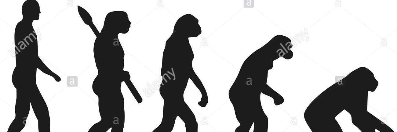 Patrick QBHC53 banner