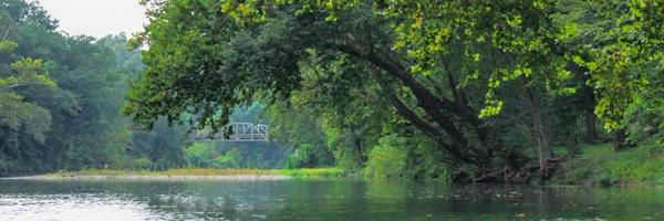 LethaMahan Profile Banner