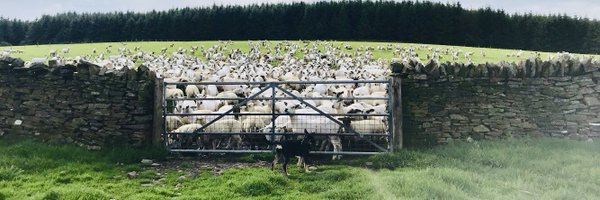 RhysTheFarm Profile Banner