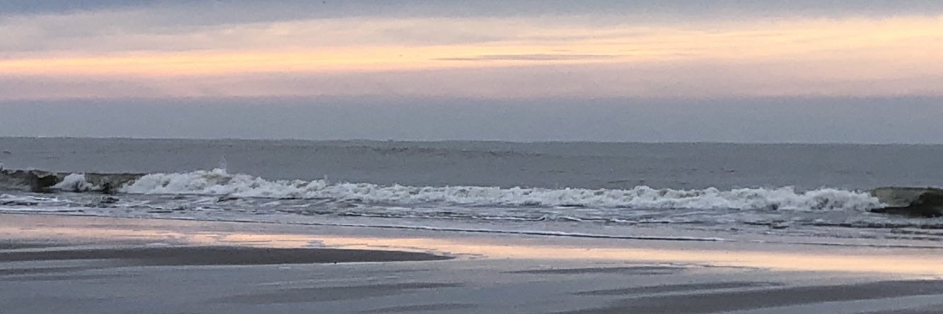 Nancy Pelgrim Boskma banner