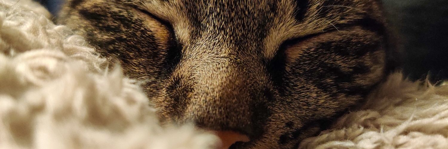 vannahmae23's profile banner image