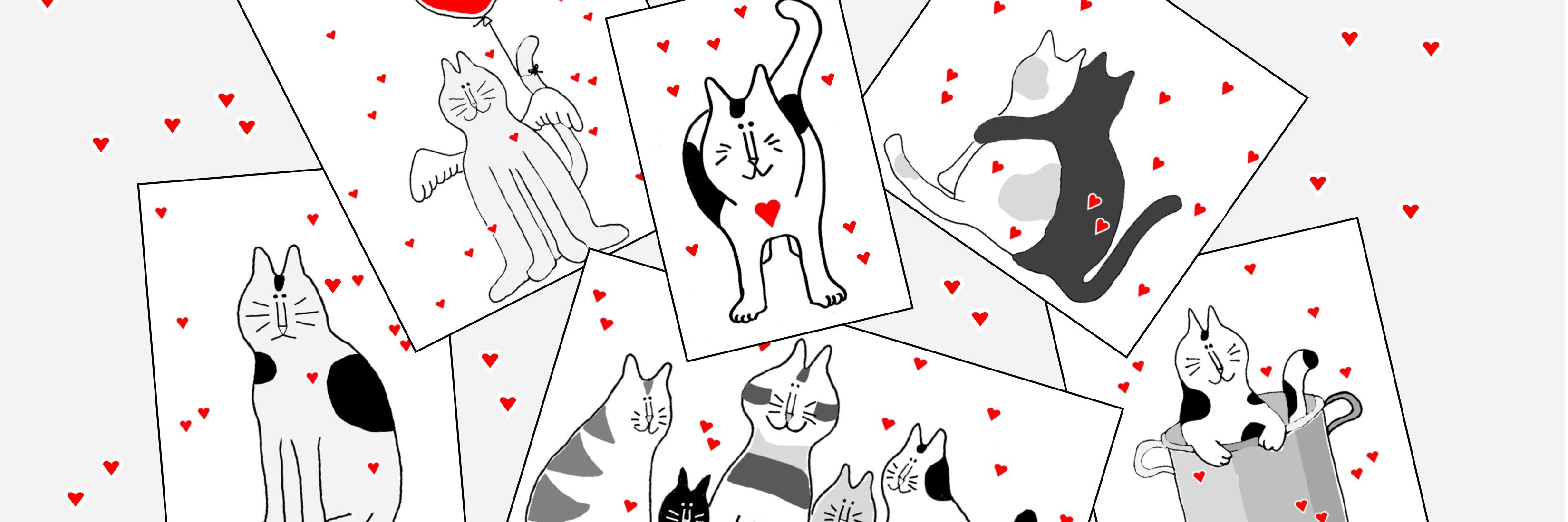 spinstersguide's profile banner image