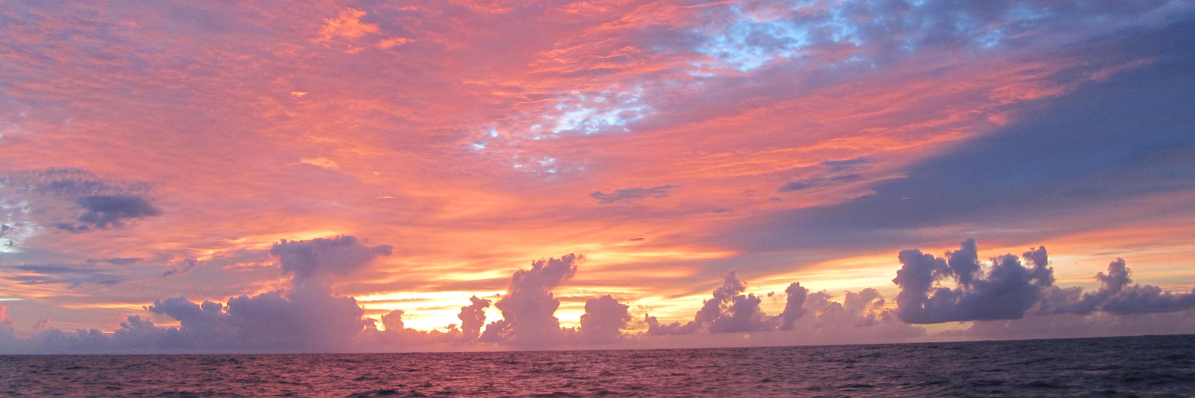 RonaldHorton1's profile banner image