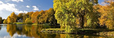 The_TreeGuy's profile banner image
