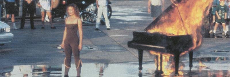 trashcats of the sea banner