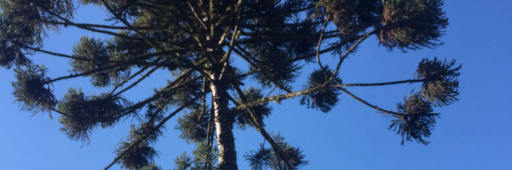 Dalatism_'s profile banner image