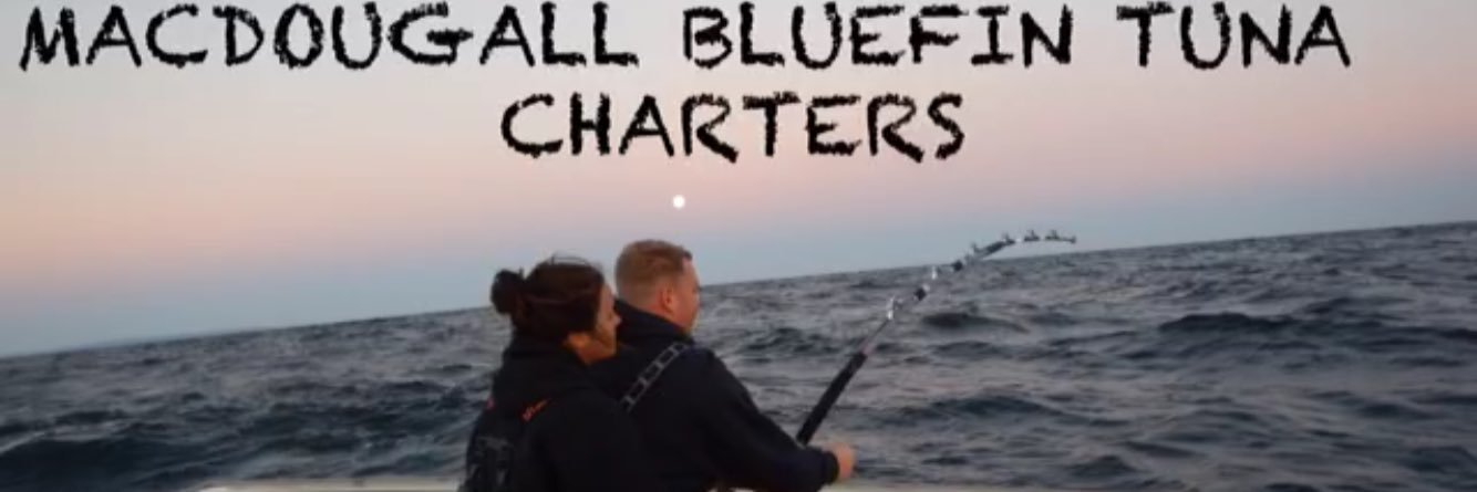 NSBluefinGirl's profile banner image
