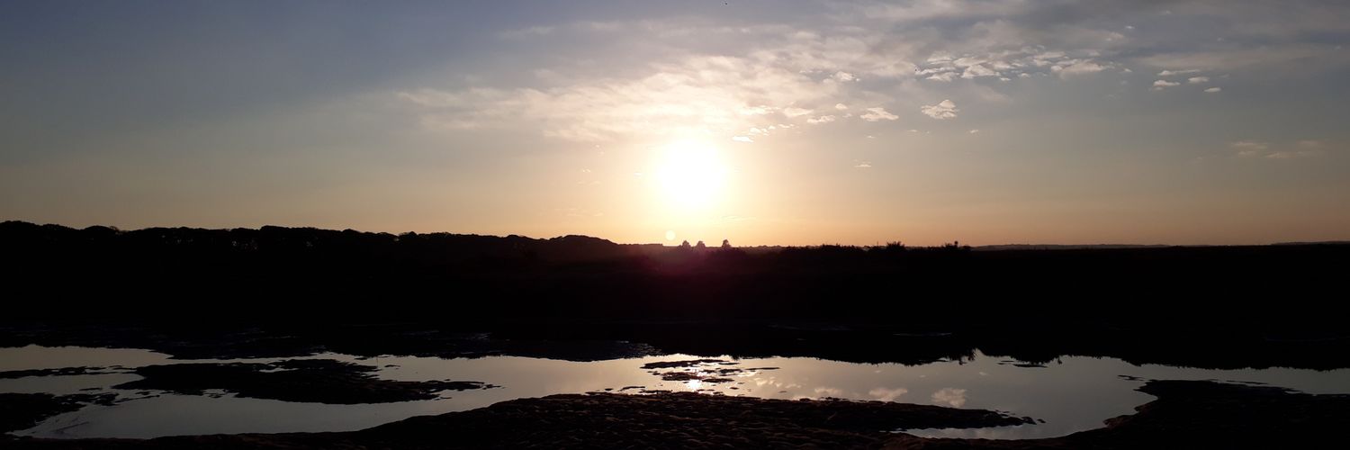 Kit D 💎😷🇺🇦 #BusyLivingWithMets banner