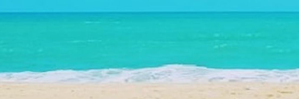 nomsod22's profile banner image