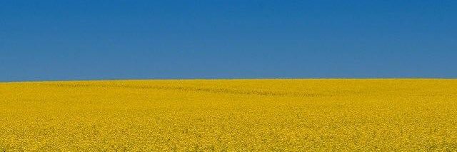 fabt63's profile banner image