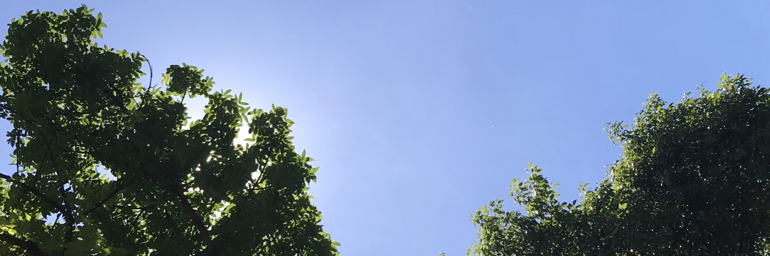 rizself's profile banner image