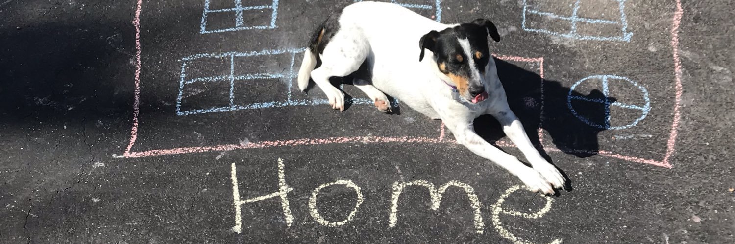 Dr. Anne Russ banner