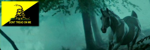 rocnat's profile banner image