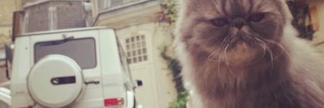 ChiggazinParis's profile banner image
