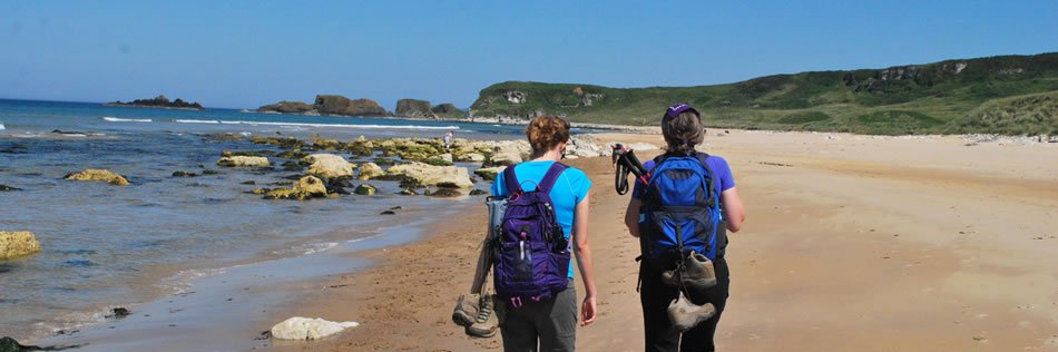 walking_hiking's profile banner image