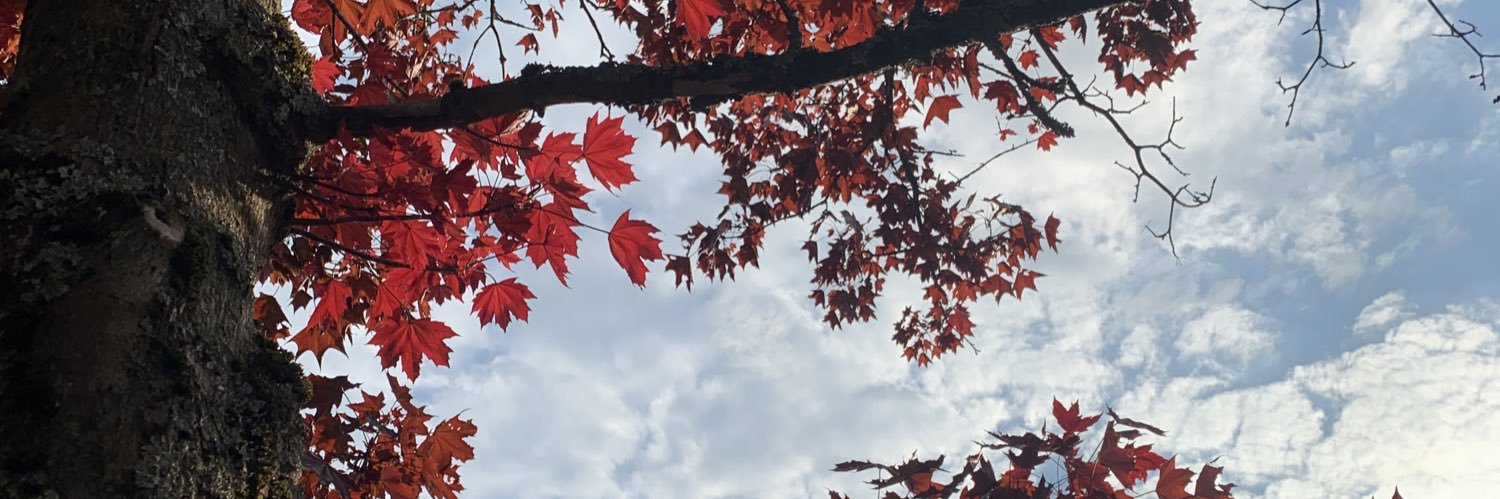 EwapMe's profile banner image
