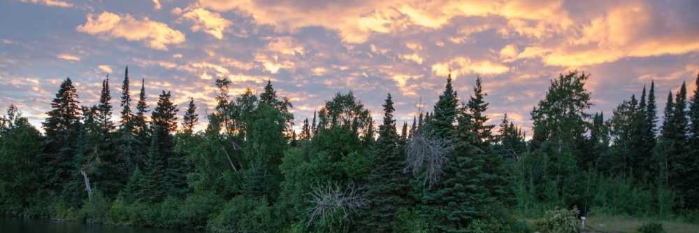 Will Peterson banner