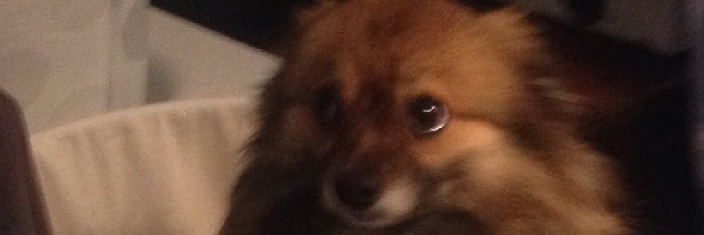 Christophe Binovski banner