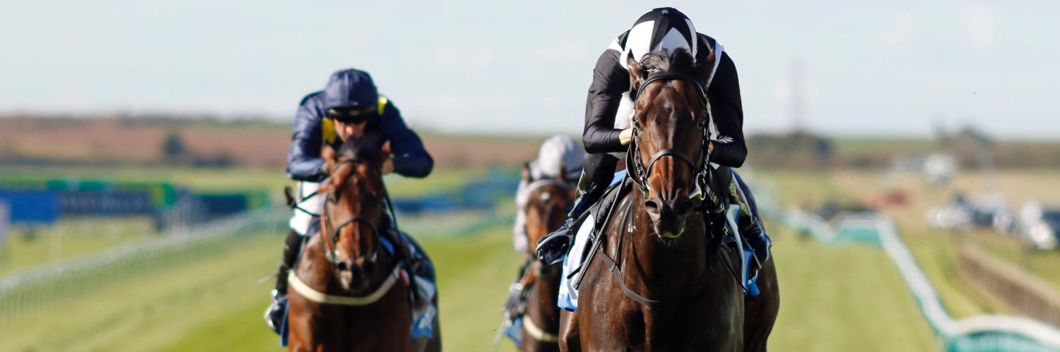 Ryan Conran - Lacka House Stables banner