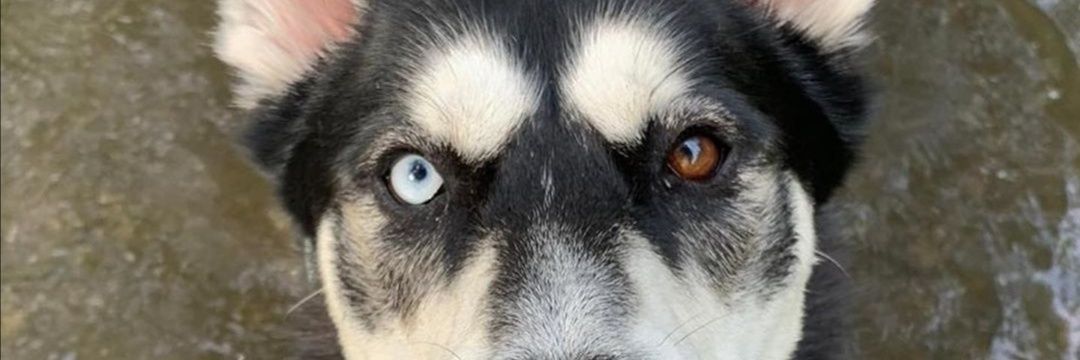 xToDzY's profile banner image