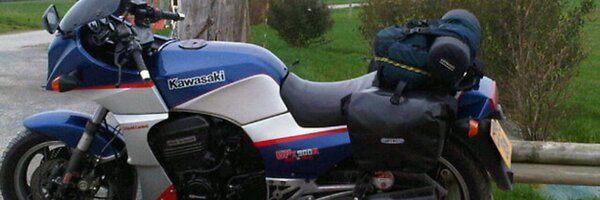 doogwasps Profile Banner