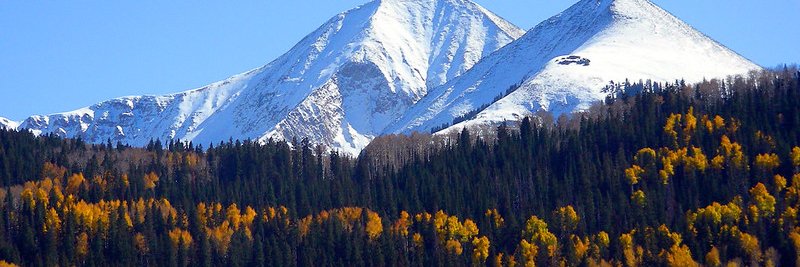 Society of American Foresters banner