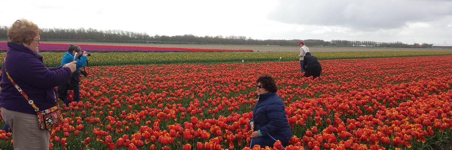 Tulipexcursion's profile banner image