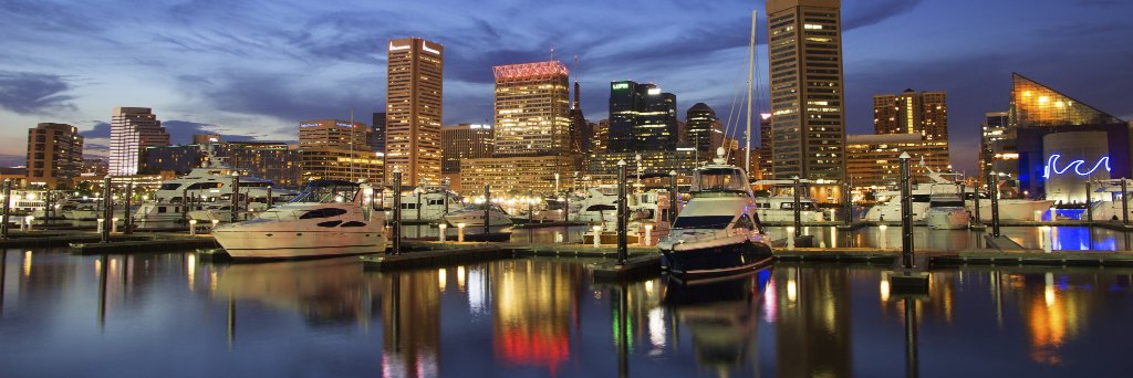 Moonshot Greenman banner