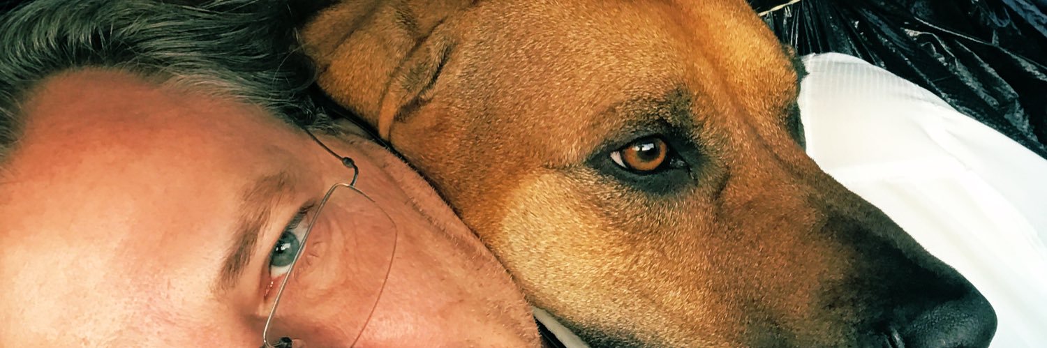 JasonMosier2019's profile banner image