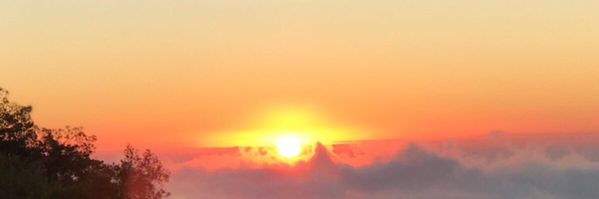 izzy_warren's profile banner image
